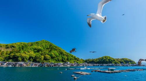 Departing from Osaka or Kyoto| Ine Funaya + Amanohashidate  + Praying at Chionji Temple Day Tours KEjI0iRb