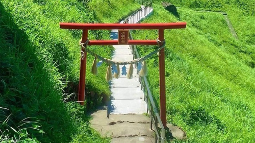 Small group for 9 people optional · 1-day tour to Mt. Omuro in Izu with panoramic views · Includes free scenic train ride + hotel pick-up service available Day Tours eOtRbcir