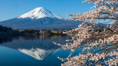 [VIP LINER] Round-trip Tokyo to Kawaguchiko One-Way Express Bus Ticket | Direct from Tokyo Station & Akihabara Station Transport Passes c7GlxdhR