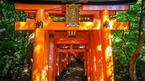 Kyoto, Nara, Fushimi Inari Shrine, and Kiyomizu-dera Temple [9-person Small Group with Hotel Pickup] Day Tours vGt5ZI8R