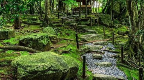1-day tour to lake biwa, bei lvming art journey, shirahige shrine and floating torii gate (pure sightseeing with no shopping) kOKcZy8w