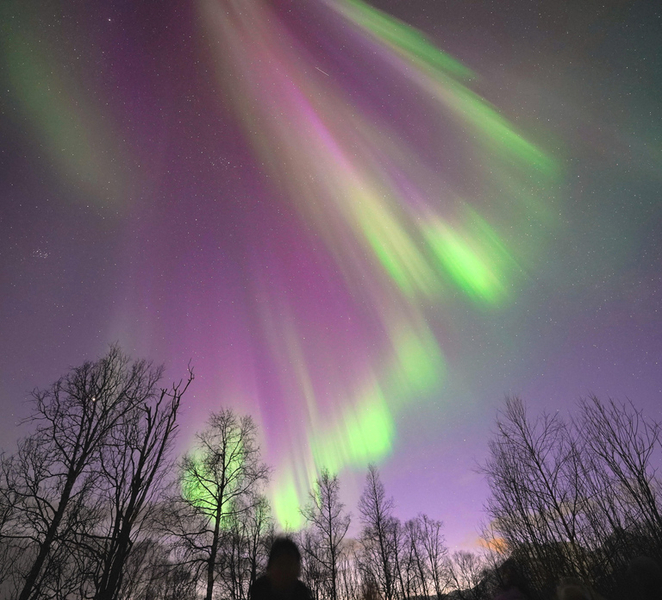 Tromso: Northern Lights Minibus Tour with Campfire HWnFFzqj