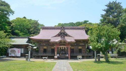 1-day tour to Hitachi seaside park and Oarai Isosaki shrine in Ibaraki, Japan gJ6QigmD