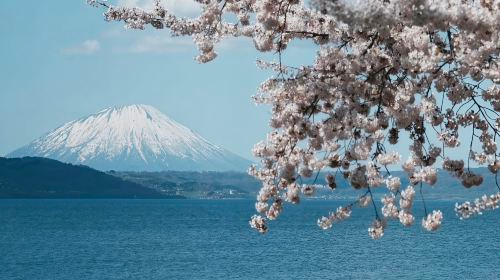 1-day tour to Noboribetsu and Lake Tōya in Hokkaido: Noboribetsu Jigokudani Valley + Showa-shinzan Day Tours DufP9T5A