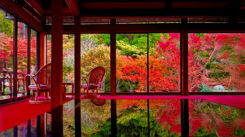 Kyushu autumn foliage limited day tour: Dazaifu, Kunean Temple, Mifuneyama Rakuen, Yutoku Inari Shrine 2JKwA1YR