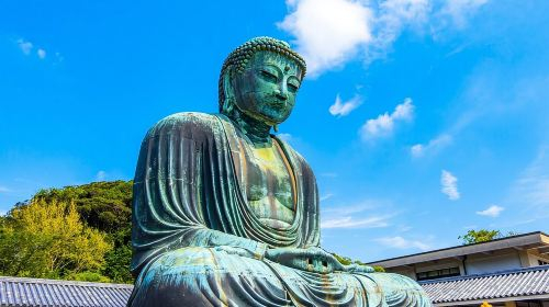 From Tokyo: Kamakura & Enoshima 1-Day Bus Tour Day Tours 9blen55u