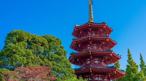 1-day tour to Mother Farm in Chiba + Kawasaki Daishi Omotesando in Tokyo · Small group for 9 people · Hotel transfer optional Day Tours znL1akzf