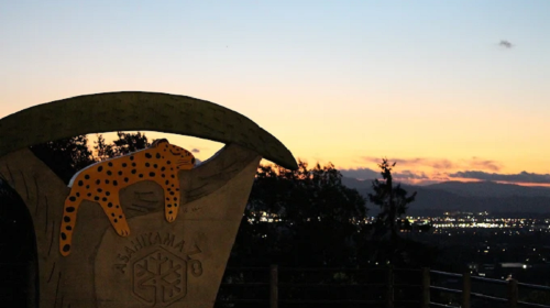 1-day tour to Hokkaido highlights: Forest elf terrace + Asahiyama Zoo + Shirogane Blue Pond (Aoiike) + Shirahige (admission ticket included) Day Tours kSbDjlNv