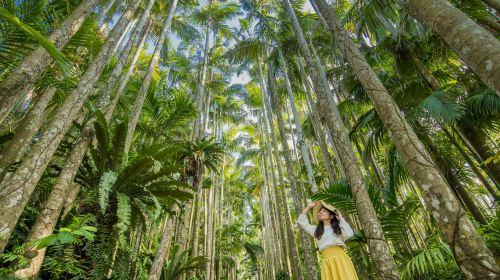 Okinawa attraction pass | Okinawa fun pass JvDDt1er