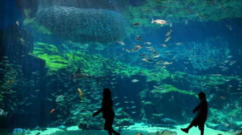 Saikai National Park wyIyZmxm