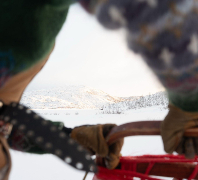 Tromsø: Dog Sledding Tour wS3sXbxI