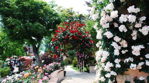 Kawaguchiko Music Forest Museum px151gdE