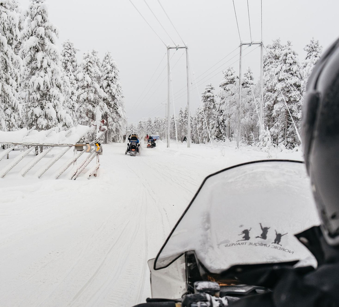 Rovaniemi: Snowmobile Safari and Animals Day Tour 249Nx2Be