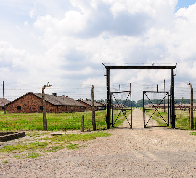 From Krakow: Auschwitz-Birkenau Guided Tour & Hotel Pickup hWDnii1r