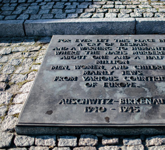 Krakow: Auschwitz-Birkenau Entry Ticket and Transfer W1FbIDhP