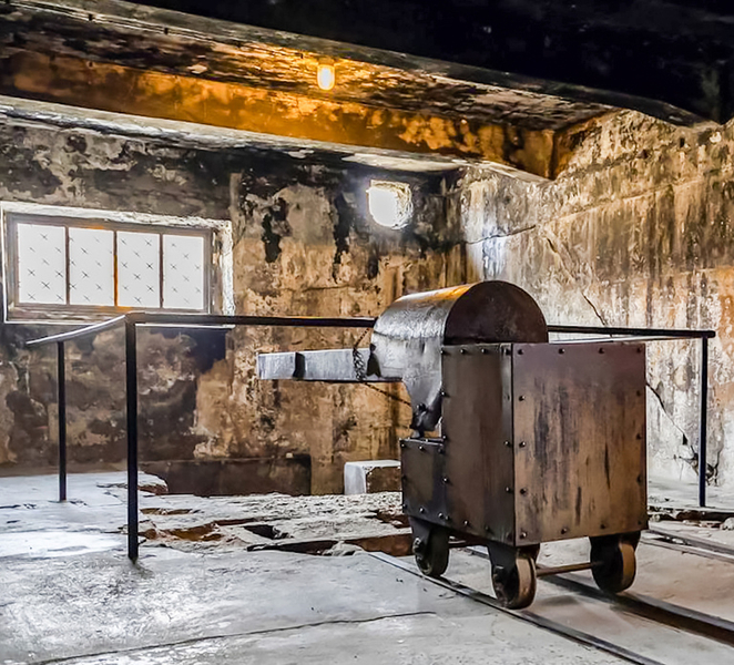 Auschwitz-Birkenau Skip-the-Line Guided Tour 0NN6JZFZ