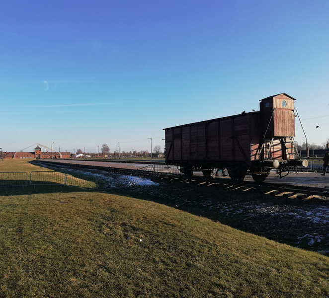 From Katowice: Auschwitz-Birkenau Skip-the-Line Guided Tour NpEjjfeZ
