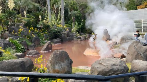 [Departing from Fukuoka] Yufuin no Mori train experience + Yufuin + Lake Kinrin + Beppu 1-day tour VuerC26Q