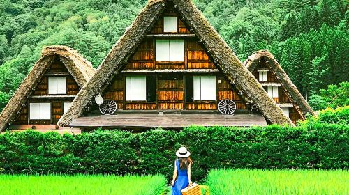 [Depart from Nagoya] Explore the Gassho Village of Shirakawa-go · Alpine Tour · Optional 9-person Small Group AcGXpgjA