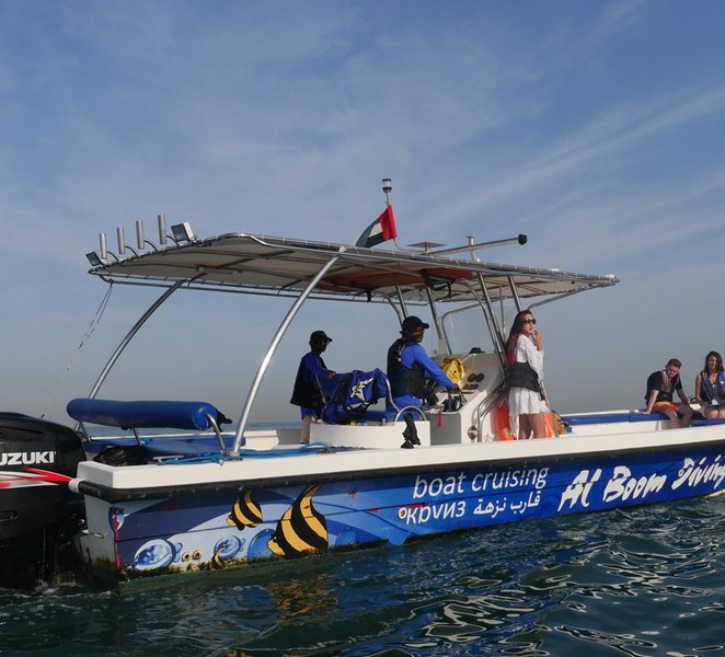 Fujairah: Snorkeling Trip with Equipment xHDGS7IW