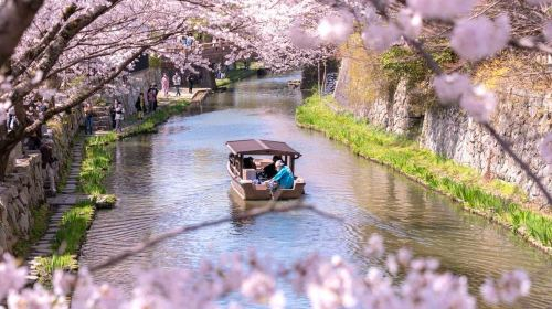 [Cherry Blossom Special] MIHO MUSEUM + Onjo-ji Temple (Mii-dera) Night Cherry Blossoms + Lake Biwa Canal|Departing from Osaka/Kyoto weN9Msm6