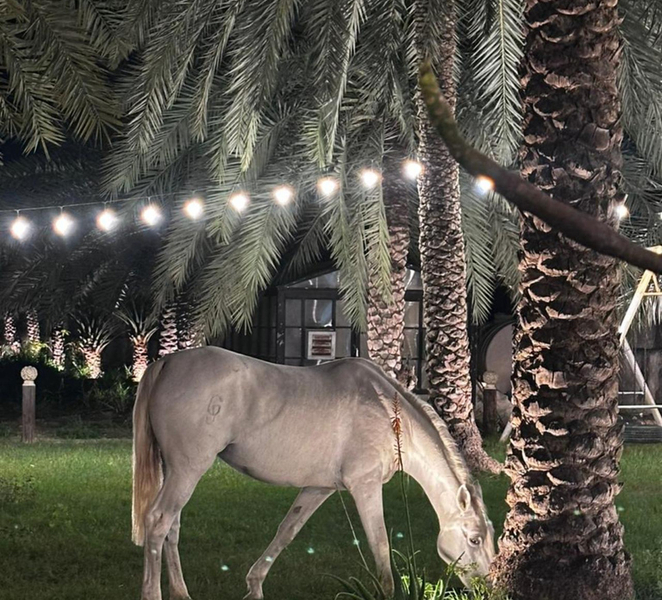 Fujairah: Sunset Heritage Village HorseRide & Emirati Dinner KhtNdn4f