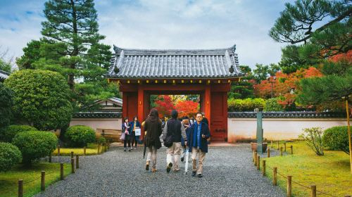 [9-person group] Kyoto + Nara + Uji day trip: Cute deer/Kiyomizu-dera Temple/Fushimi Inari Day Tours yD1s2vj9