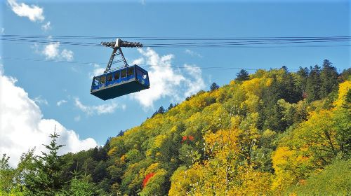 Fall day tour | Kurodake mountain cable car for maple viewing & Asahiyama Zoo [Chinese and English guide, departure from Sapporo] Day Tours pXv2nqfW