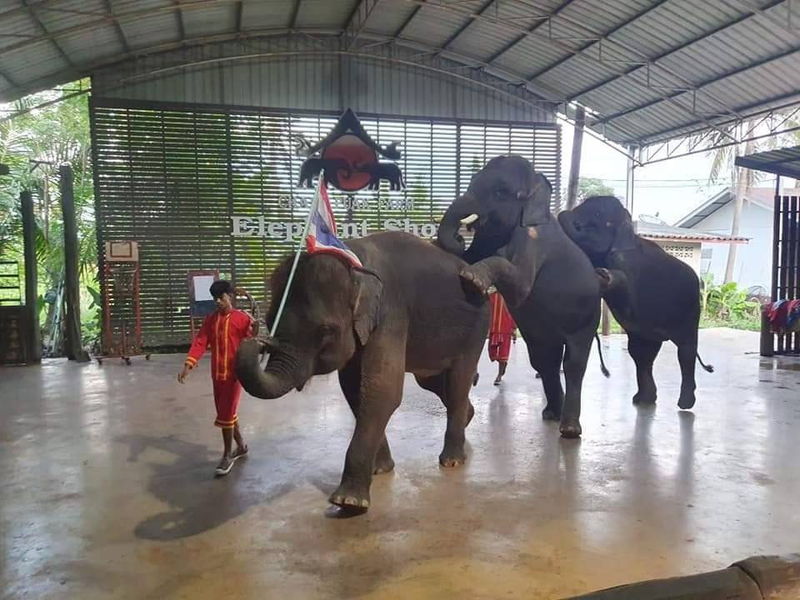 Chang Puak Camp Damnoen Saduak (Activity Combo Packages) hxcMfvZt