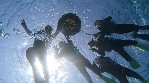 Blue Cave Snorkeling: Boat Entry YooauW0A