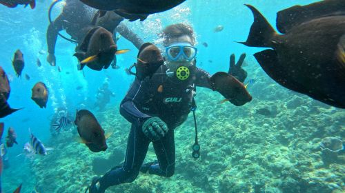 Blue Cave Experience Diving: Beach Entry LyIIprWU