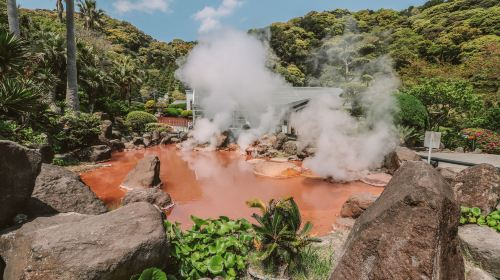 1-day tour to Oita | Lake Kinrin in Yufuin + Beppu's seven hell hot springs tour + Dazaifu Tenmangu shrine Day Tours YeHcmgsS