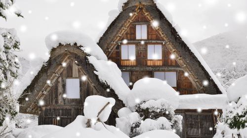 World Heritage Day Tour | Explore Shirakawa-go and Gokayama Thatched Villages with Nohi Bus Day Tours yKcxzlEE