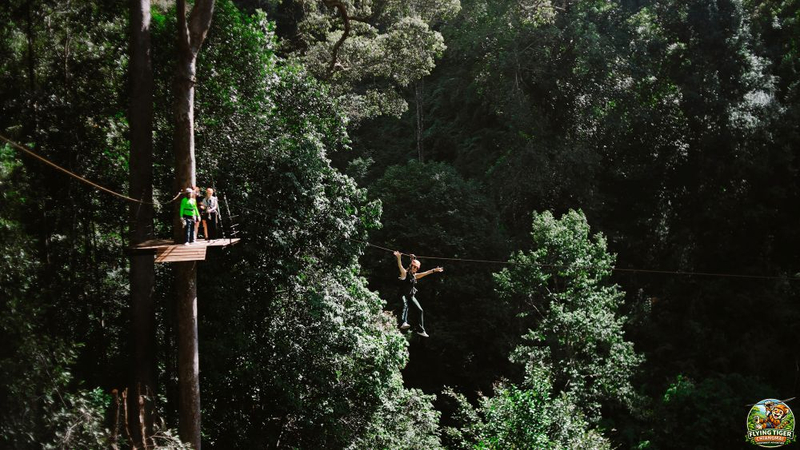 Flying Tiger Zipline Chiang Mai shlFUCRC