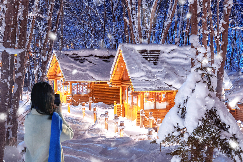 Sapporo Asahiyama Zoo & Forest Elf Terrace Winter Tour K3aOJAlh