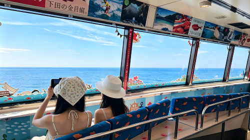 Private chartered tour in Tokyo and Izu to Mt. Omuro + Jogasaki Coast + Cactus Park. Customizable itinerary. Day Tours r59nd2vh