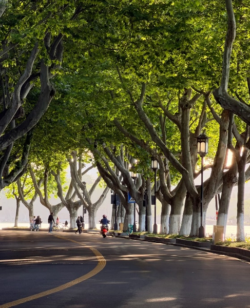 Hangzhou West Lake Island Hopping + Longjing Tea Tasting Day Tour TYd2FH5y