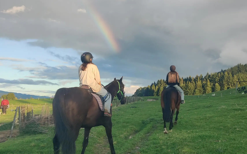 Lake Rotorua Scenic Horse Riding Experience BBPiinYV