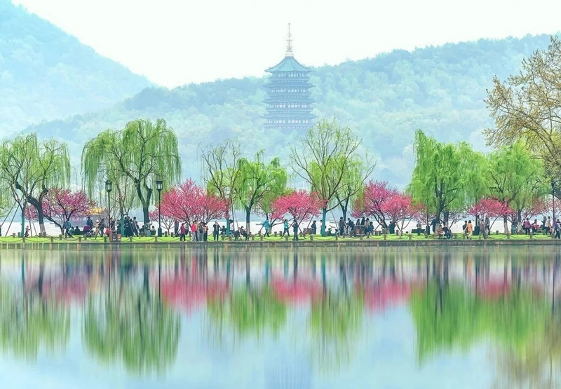 1.5-hour West Lake Secret Realm: Rowboat/Hand-rowed Boat Charter + Tea Tasting + Private Guided Tour Service sleqfODS