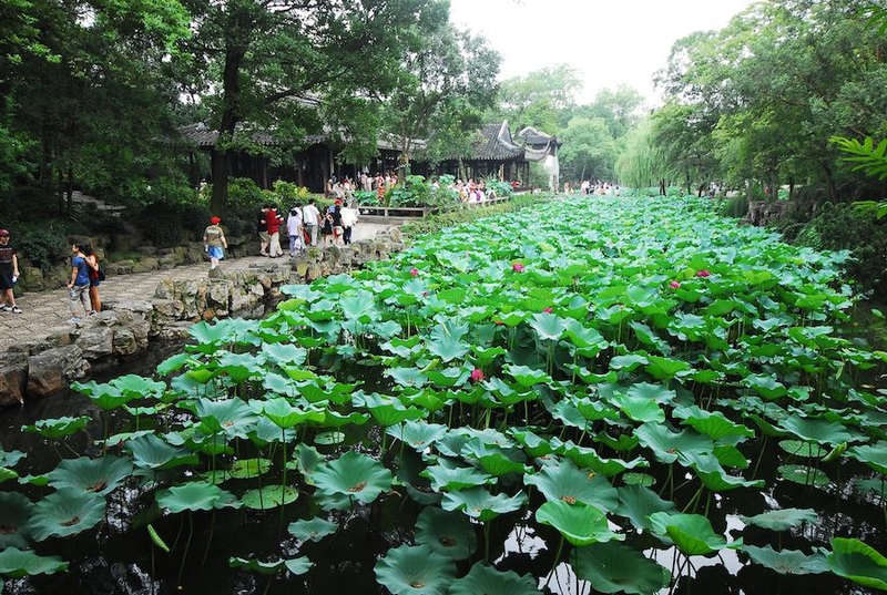 Suzhou Humble Administrator's Garden, Zhouzhuang Ancient Town + Suzhou Lion Grove Garden 2-Day Tour WaJEVcO7