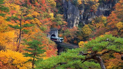 Sendai Naruko Gorge & Ginzan Onsen Autumn Leaves Tour P8XNMF89