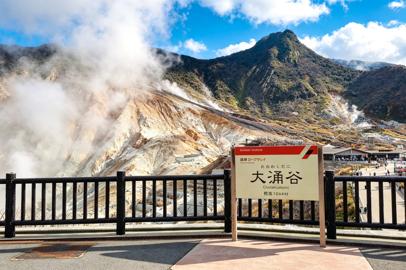Mount Fuji & Hakone tour with cable car and pirate ship experience dyVsBfXT