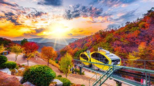 Hantangang UNESCO Geopark & Pocheon Highlights Tour from Seoul (Y-Bridge, Pink Sand, Art Valley) 32DhD1e4