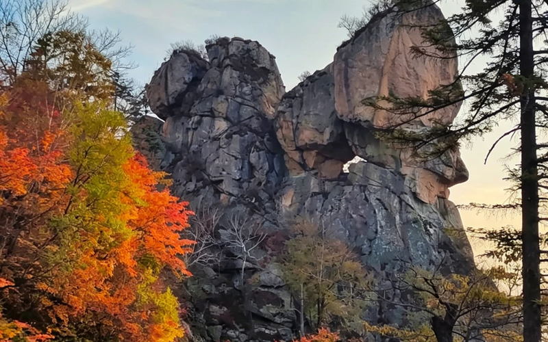 Liaodong Maple Language 7 Days 6 Nights (Shenyang In and Out) iY14VfyV