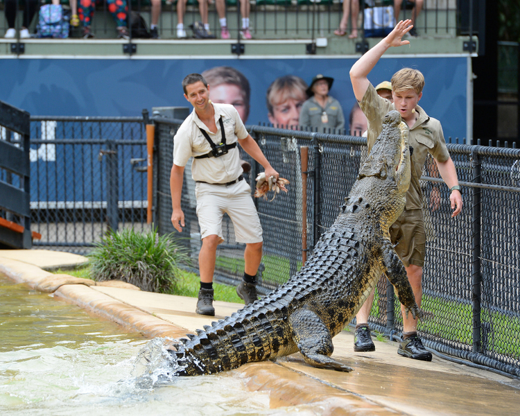 Australia Zoo Transfer and Entry Adventure KxEO3dUo
