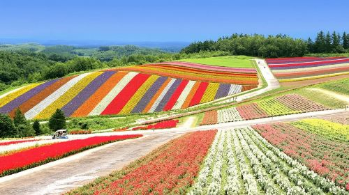 [E-ticket] Direct bus from New Chitose Airport/Sapporo city to Niseko ski resort in Hokkaido, Japan Transport Passes 3Mogpm2R