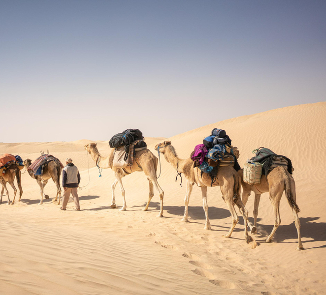 From Tunis, Hammamet & Sousse: 2-Day Sahara Express Tour TPng5btN