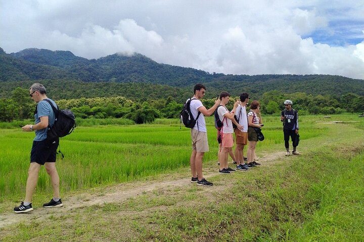 Chiang Mai Mae Ping Valley Half-Day Small Group Cycling Tour 4PMoeARv
