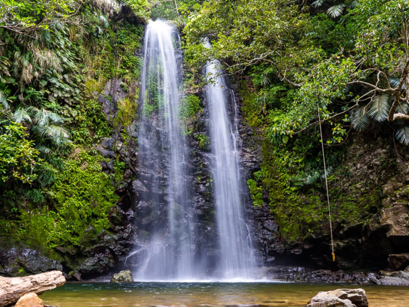 [Be a legacy] Private Tour with an Expert Guide 6pyj9Eup