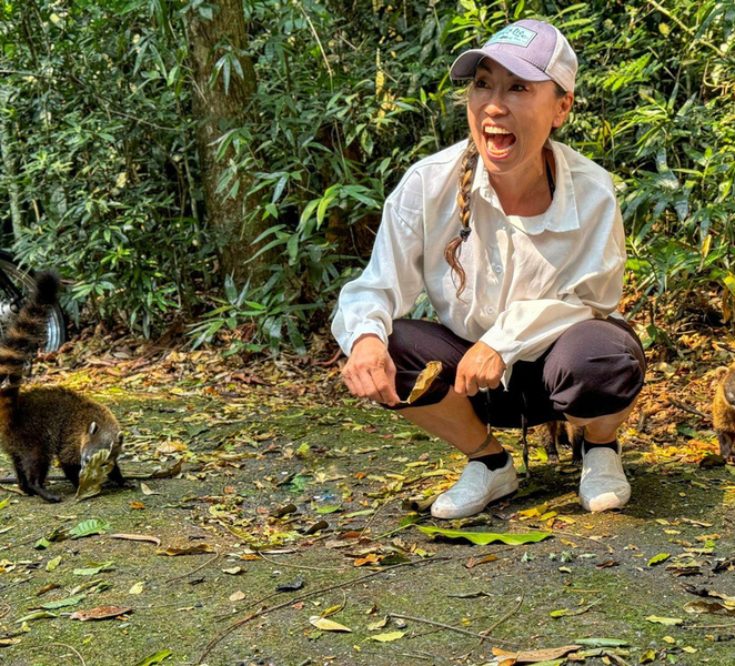 Rio Rainforest: Hike to Waterfalls, Wildlife & Caves yZisMtrb